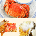 Fresh Live Chinese Mitten Crab - 2