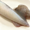 Frozen Whole Baby Squid - 3