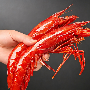 Frozen Wild Caught Scarlet Prawn