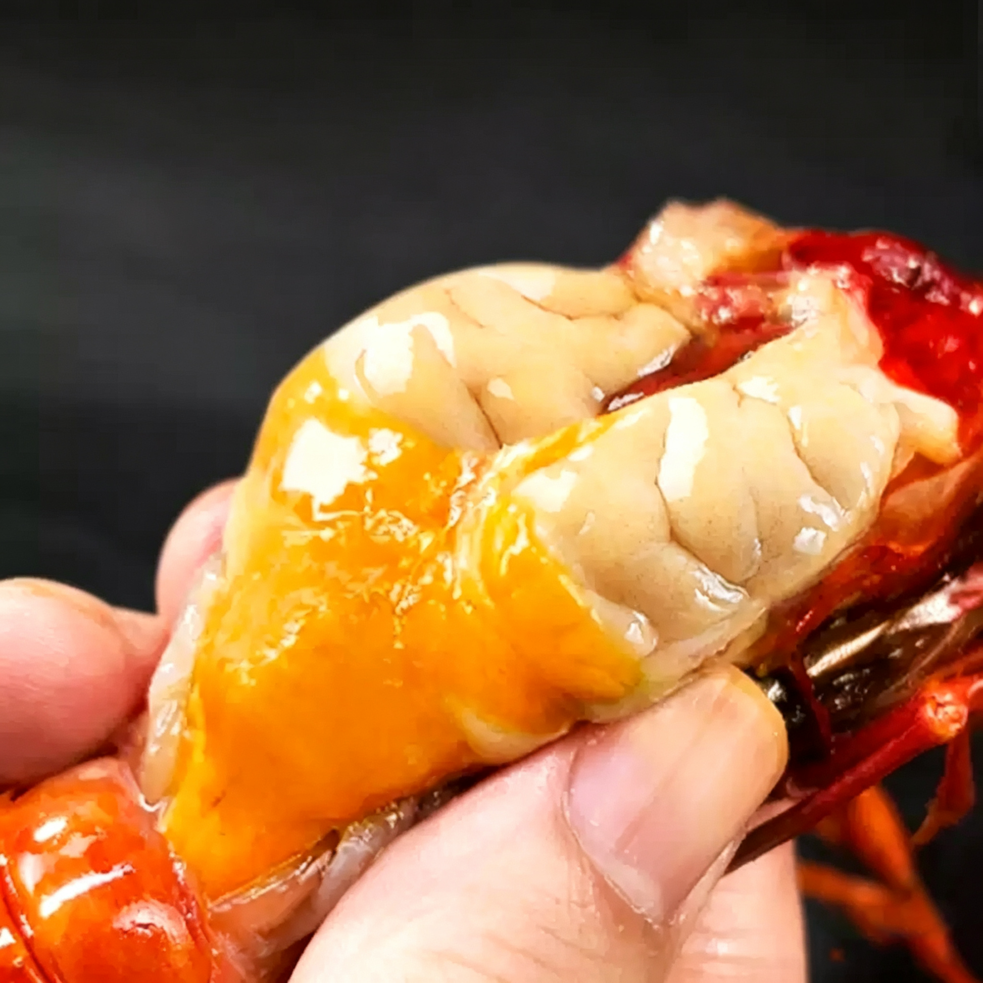 Frozen Wild Caught Scarlet Prawn - 2